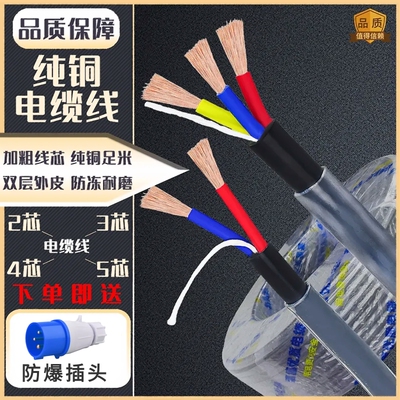 国标纯铜套管电缆23芯工地地拖线自带包胶防水电缆线1.52.5/4平方