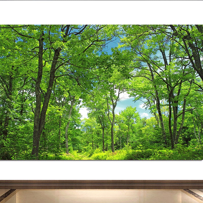 速发树林装树画林木小道卧室书房背景墙装饰画高大饰荫森林壁画墙