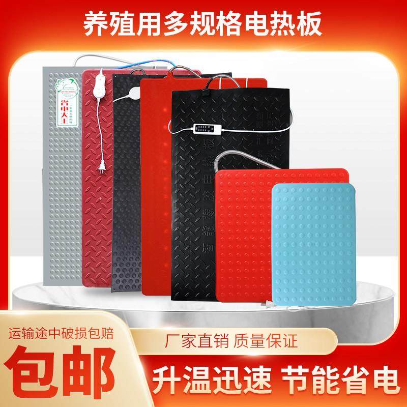 电热板兽用不锈钢电热板猪用宠物发热板养殖场母猪产床塑钢取暖板