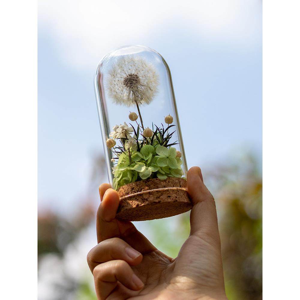 永生花玻璃罩小摆件微景观志愿者暖场沙龙团建活动diy手工材料包,家居饰品,桌面摆件,淘宝优惠券,粉丝福利购,淘宝优惠卷