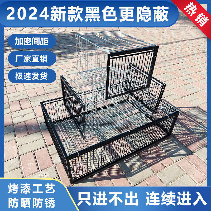 鸽子诱捕器新款加密天落笼鸽子笼收鸽信鸽专用只进不出捕鸽撞门笼