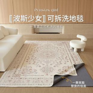 沙发卧室地垫家用可拆洗复古法式 可机洗地毯客厅2024新款 高级定制