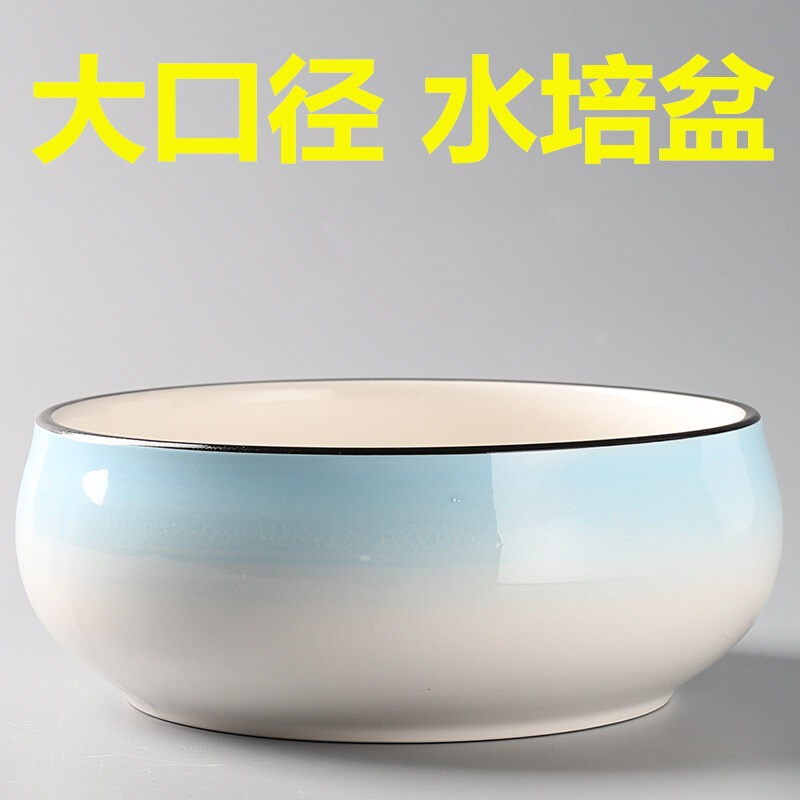 花盆陶瓷花盆水培植物睡碗莲无孔铜钱草大号家用简约水仙
