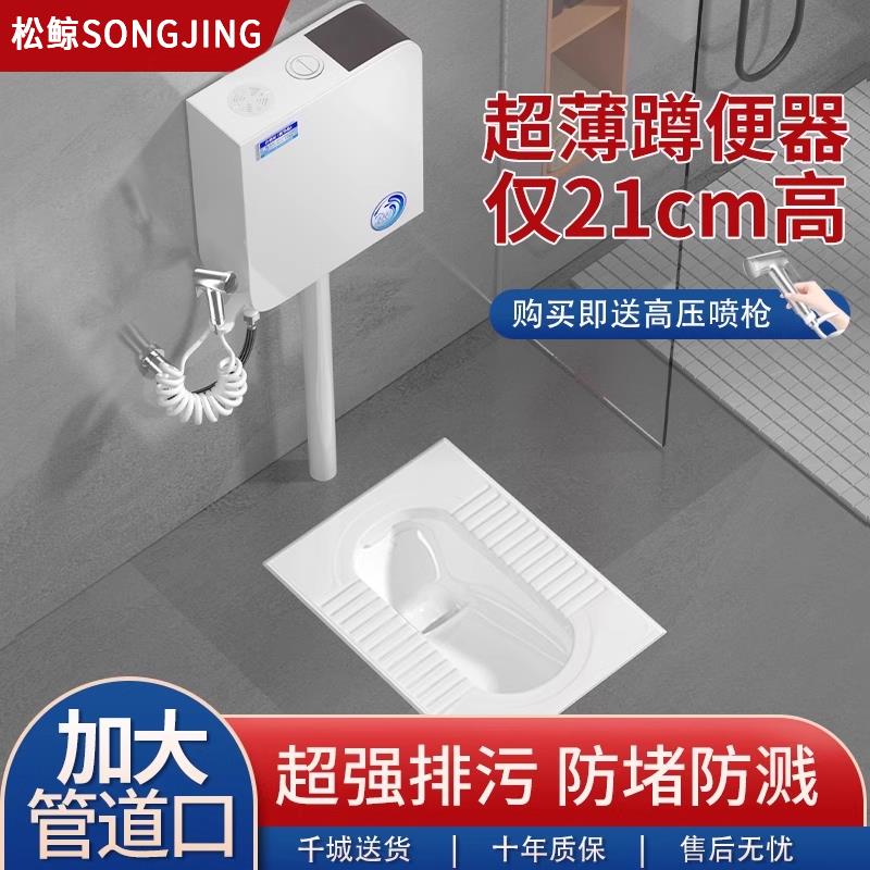 松鲸家用陶瓷蹲便器水箱整套装化妆室防臭大便器蹲坑式便池子厕所