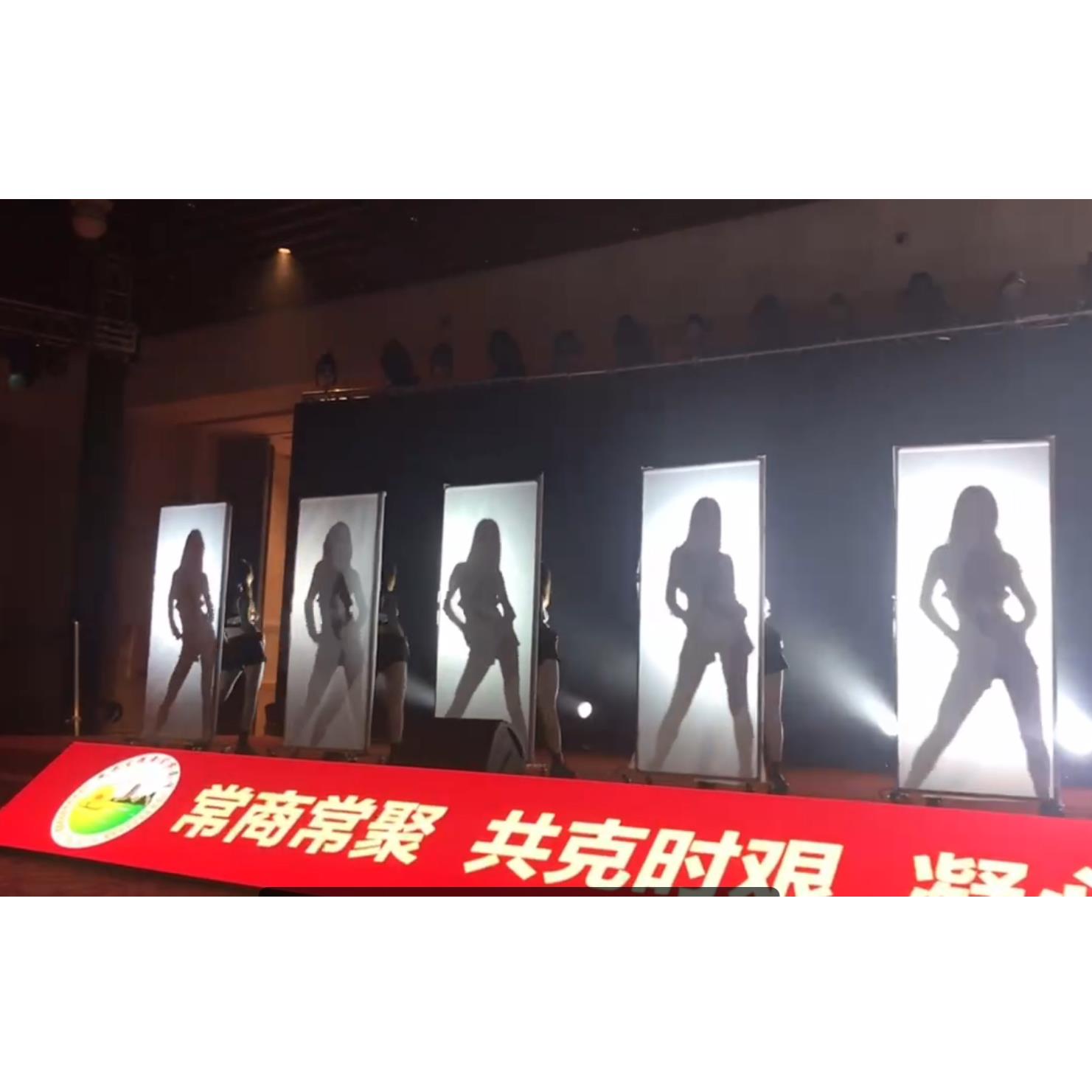 单人舞灯光布幕布支架手影舞皮影戏影子舞剧灯光年会表演背景白布