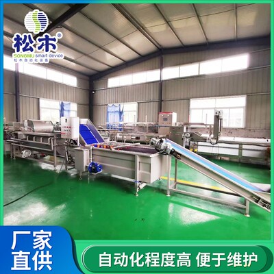 商用全自动洗菜机中药材清洗设备水果蔬菜清洗风干流水线价格优惠