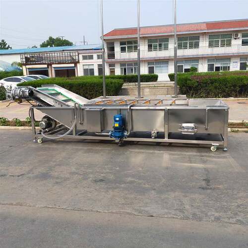 豆荚清洗设备 全自动大型洗毛豆机器 工业用不锈钢汽泡黄豆清洗机