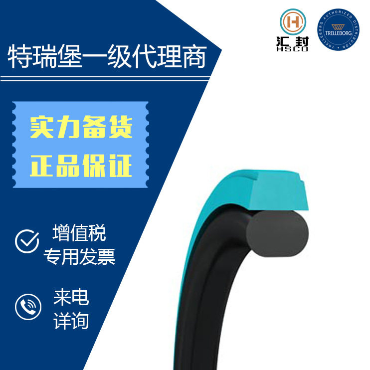 德国特瑞堡B+S孔用格莱圈密封件
