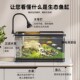 鱼缸水族箱生态桌面金鱼缸塑料透明小型客厅制氧过滤免换水家用缸