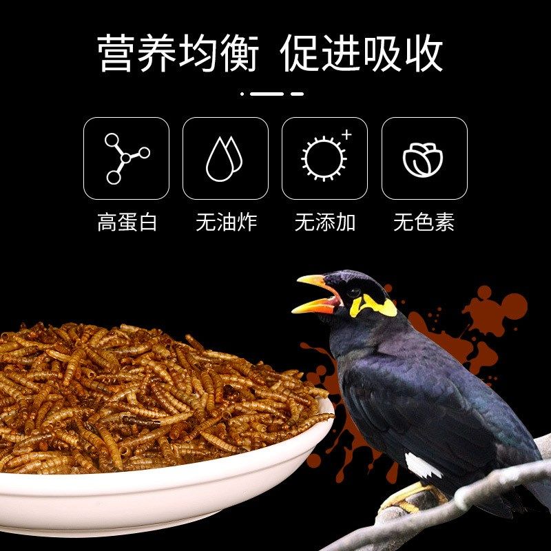 面包虫干鸟食鸟用八哥鹩哥画眉百灵芦丁鸡饲料鸟粮食营养零食虫子