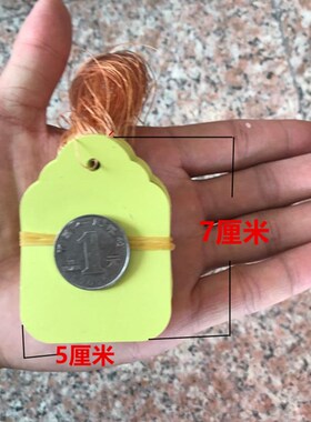 防水吊牌价签pvc塑料标价牌 园艺标签/花卉牌/植物挂绳吊卡签包邮
