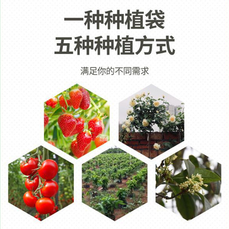 绿边种植袋月季超大无纺布美植袋加厚出口型户外阳台楼顶种花种菜图片
