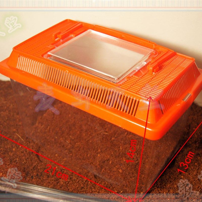 宠物饲养盒 爬虫箱蜘蛛蜈蚣蝎子饲养盒子 鱼乌龟运输便携饲养盒子,宠物/宠物食品及用品,爬宠缸/箱,淘宝优惠券,粉丝福利购,淘宝优惠卷