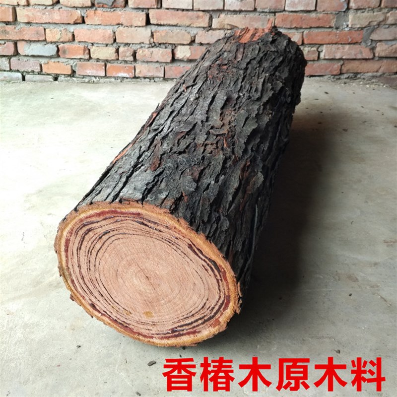 正宗香椿木原木料实木料硬木大料茶几配凳子料毛料雕刻收藏镇宅