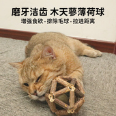 猫玩具木天蓼猫薄荷球自嗨解闷神器兔子磨牙棒耐咬幼猫咪用品大全