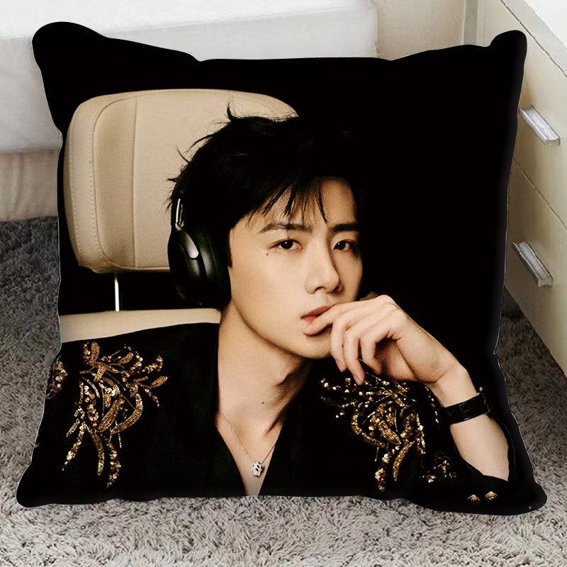 白敬亭周边抱枕来图定制女生宿舍玩偶公仔车用沙发靠垫双面枕头