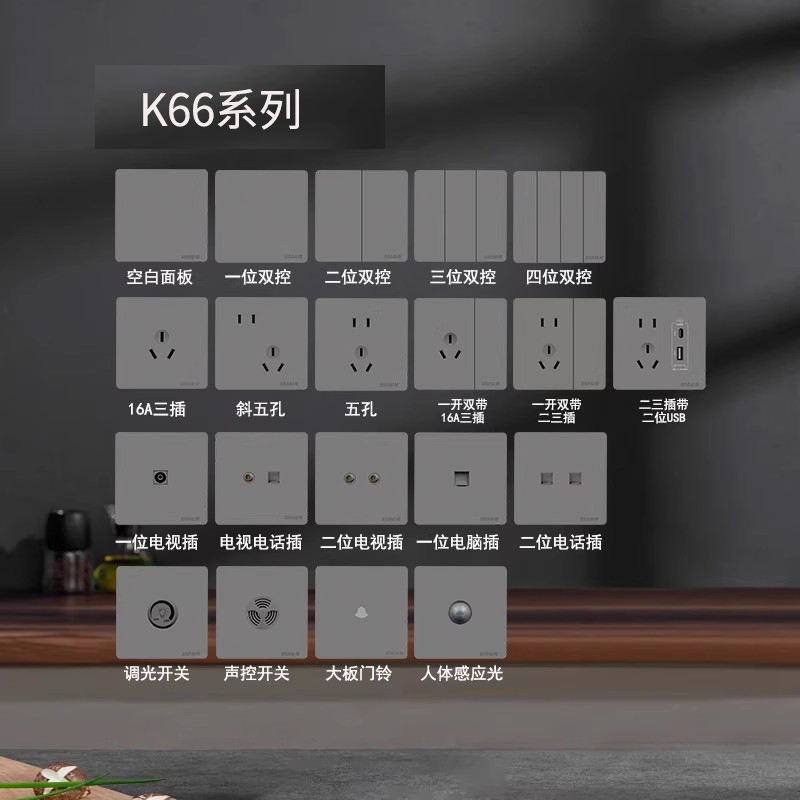 公元电器10A白大板开关终身质保