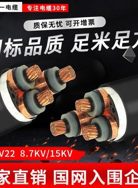yjv228.7/15kv高压电缆3*120/150/185/240/300/400/500交联电缆线