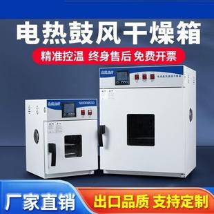 电热恒温鼓风干燥箱高温小型工业烤箱医用烘干机大灯实验室烘箱