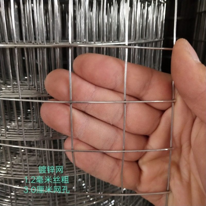 现货速发新品不锈钢圆棒防锈镀锌铁丝网围栏护栏网格网网钢丝网,模玩/动漫/周边/娃圈三坑/桌游,潮玩大体/潮玩大娃,淘宝优惠券,粉丝福利购,淘宝优惠卷