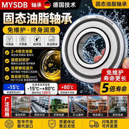 固体油脂SS6200 01 02 03 6204 6205 06 07 08不锈钢免维护轴承