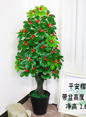 假树植物樱桃橘落子树室内地盆栽客厅饰装摆树设塑87852料植物盆