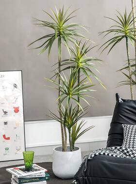 新树款铁树仿真真绿植XVL室内长仿树假落地橱窗造青景假植物