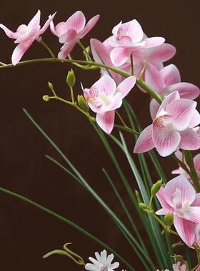 东之春10蝴蝶兰真盆花仿栽假花插花套装客厅玄前台酒店桌关面花艺