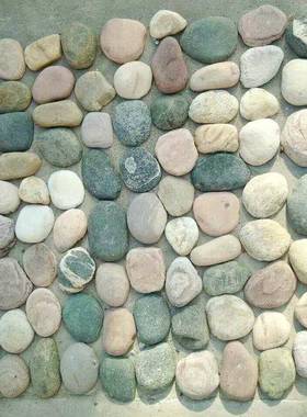 厂家山滤盆料河卵石自然观泰石造景鱼缸花盆多肉82005鹅卵石景栽