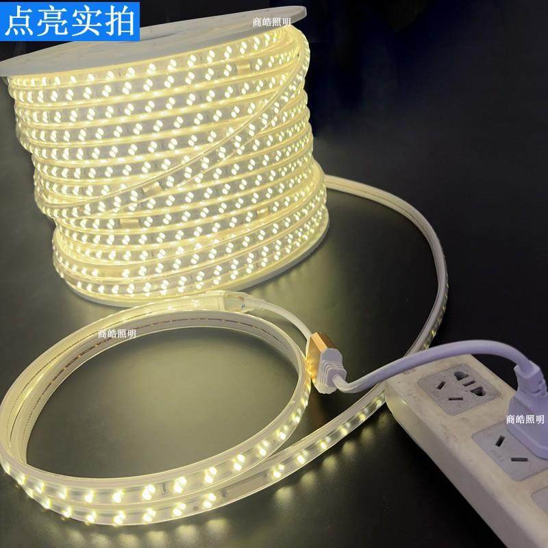 LE包胶灯带20V防32085水灯带楼桥梁工程宇轮廓装饰灯带外墙灯2条D