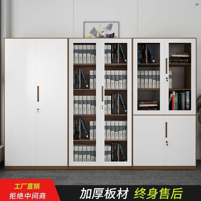 陕西西安钢制办公文件柜铁皮档案储物柜套色财务凭证柜资料铁柜子