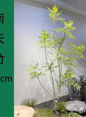 端轻奢仿真绿植南天竹大型室内客厅件装摆软装落饰地KIJ高造景假