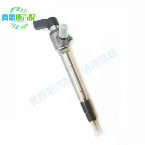 柴油共轨喷油器总成9801125480 BK2Q-9K546-AG 1746967 1840747