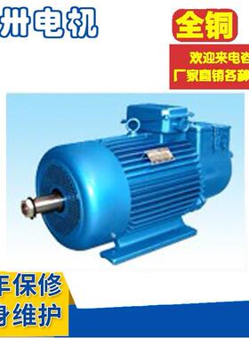 YR250M75676572-6YZB2450M2-6YZP25Z0M2-65KW起重及冶金用转子电