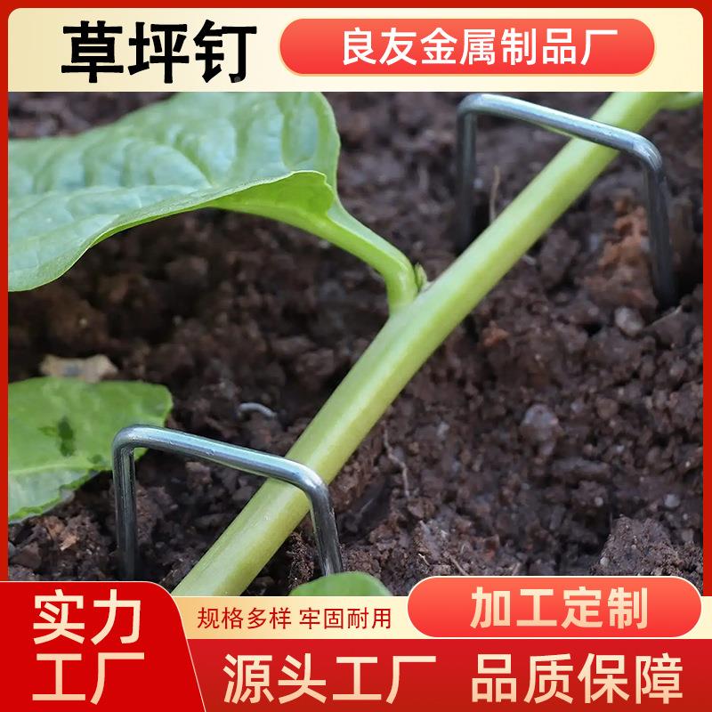 U草型草坪钉人造草坪固定钉户外棚皮地钉植物防大垫固LY32定地猫