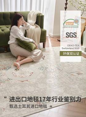 普美家土耳其进34345口易法式古复地毯波轻奢斯客厅卧室毯
