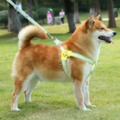 狗狗牵引绳背心式 遛狗绳宠物胸背带中小型柴犬柯基狗链子宠物用品