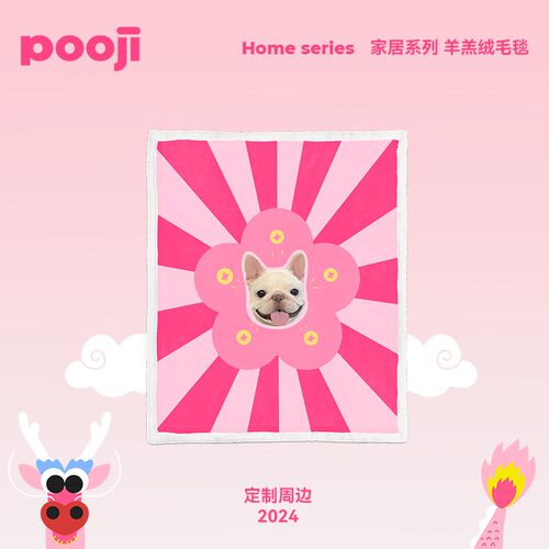 POOJI宠物客制化毛毯盖毯双层羊羔绒宠物礼物可印制照片