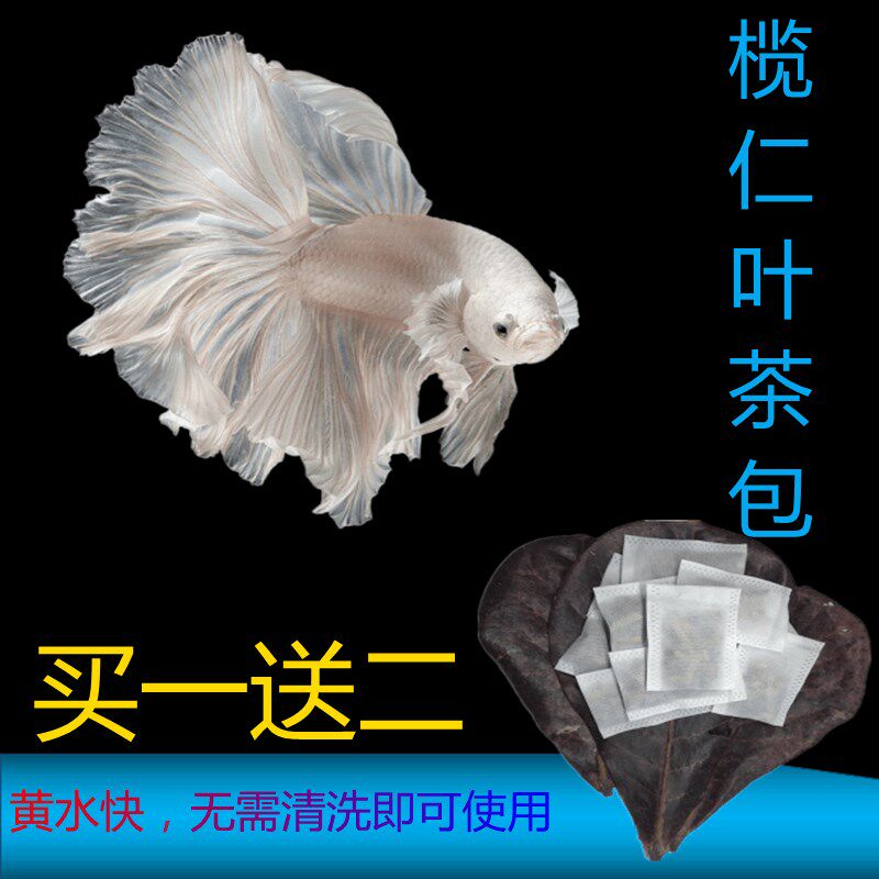 泰国斗鱼榄仁叶水族箱鱼缸乌龟缸PH值调节剂热带小型鱼懒人叶包邮图片