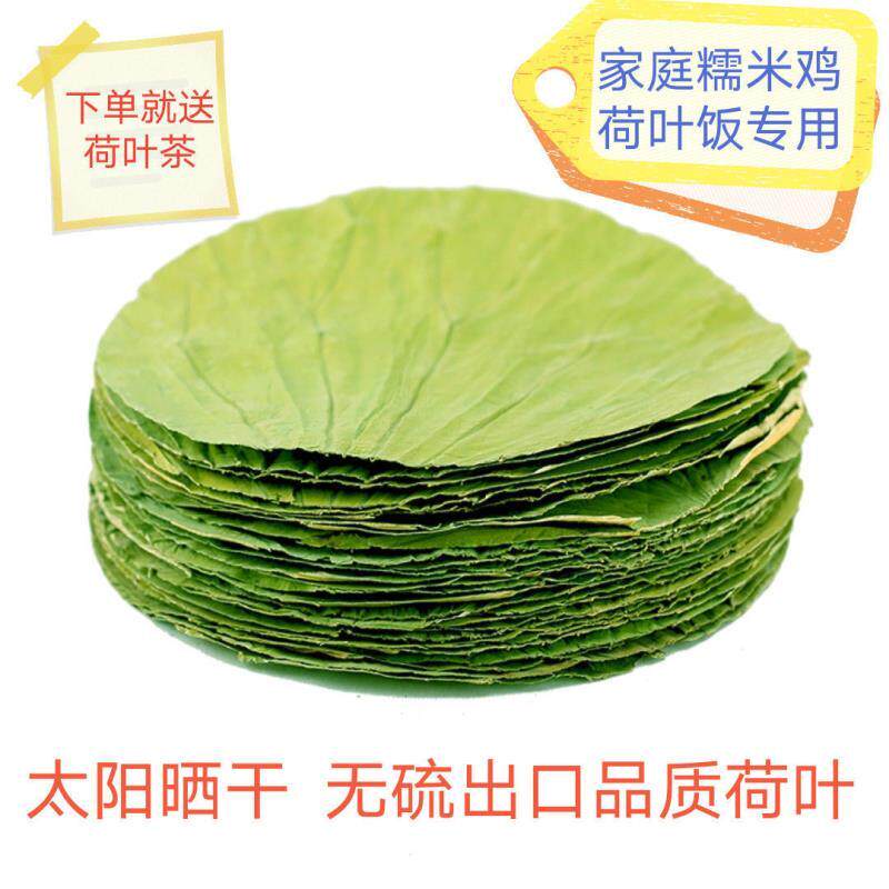 微山湖天然整张干荷叶天然蒸饭包粽子用糯米荷叶鸡荷叶饭专用