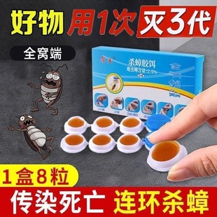 蟑螂药强效出租房家用无毒一窝端卧室厨房蟑螂克星灭虫神器一扫光