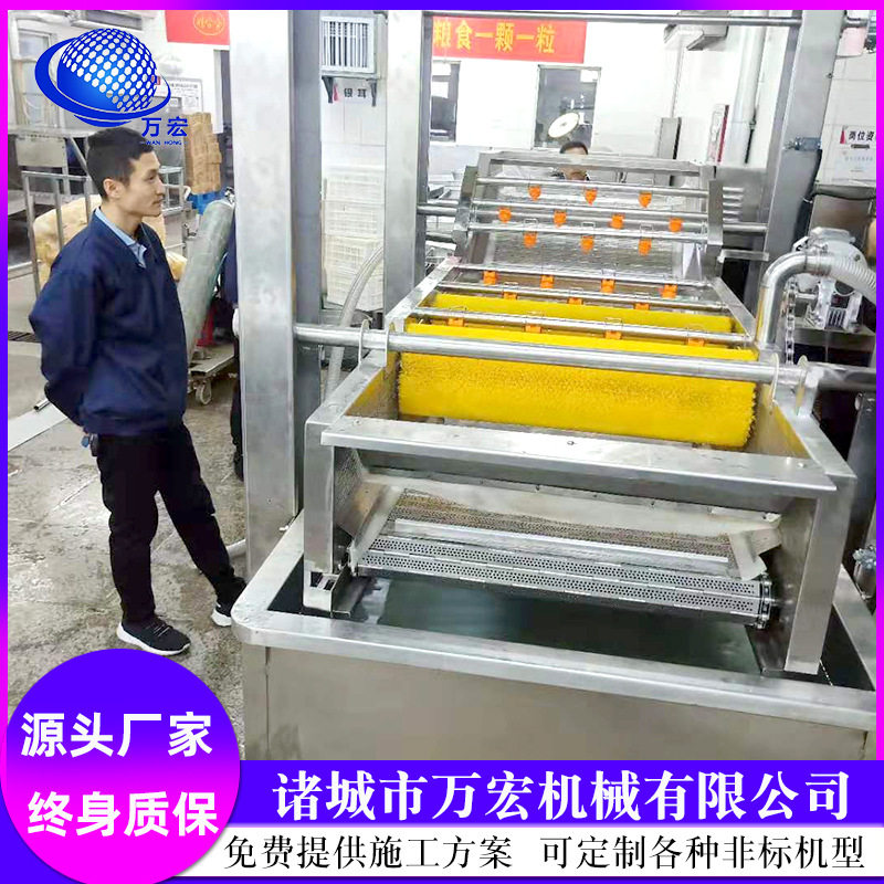 全自动莴笋去皮清洗机 根茎类去皮清洗机 地瓜多功能清洗机