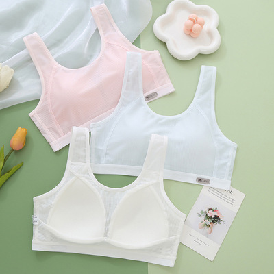 内衣二三阶段初高中学生大码运动防震背心青春期女孩发育文胸
