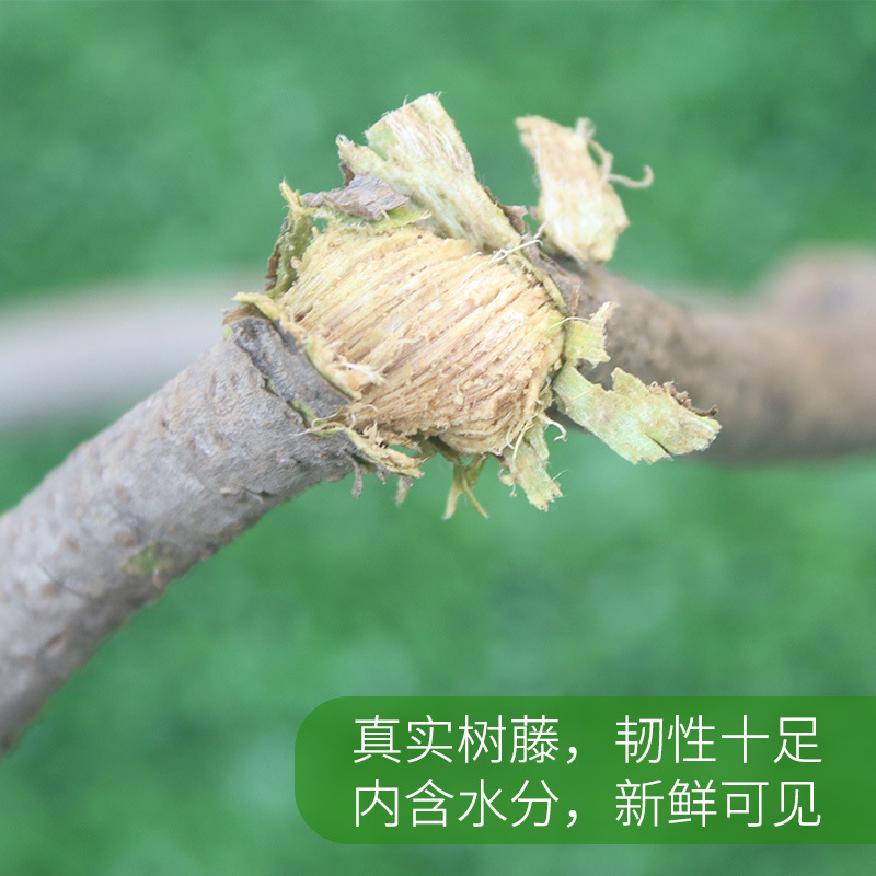 仿真树藤室内装饰枯藤管道缠绕红山藤条葡萄叶藤蔓藤干造景假植物