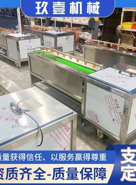 花土豆去皮泥清洗机生红薯去洗皮清洗机多功能毛辊清机芋头NRN磨