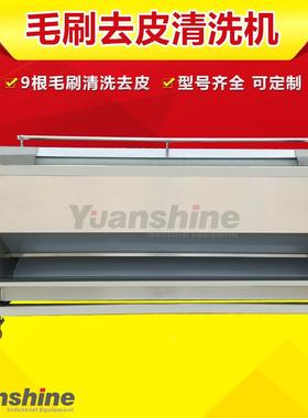 全自动MQF姜毛清刷洗去皮机 柠檬百香果清洗机 大泥姜鲜清洗去机