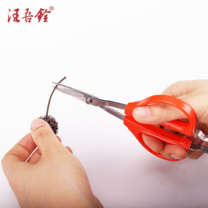 汪吾铨剪刀修葡萄剪镊剪带镊子夹葡萄专用剪子稀果剪蔬果剪摘果剪