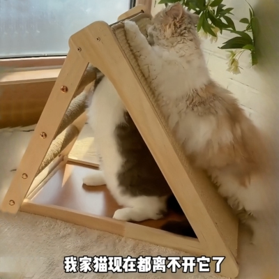 猫爬架家用小户型不占地