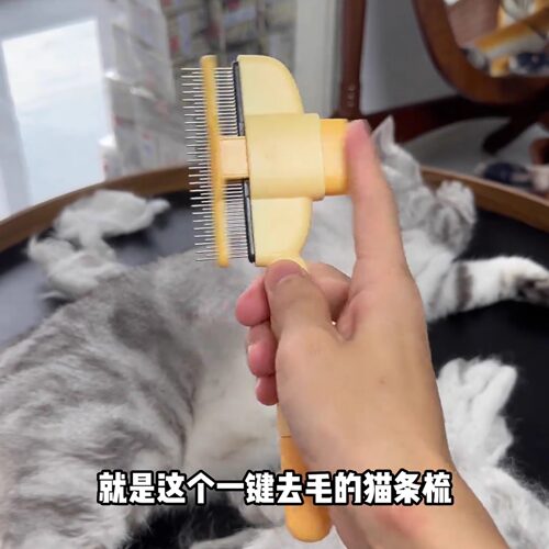 猫咪去浮毛梳子梳毛神器