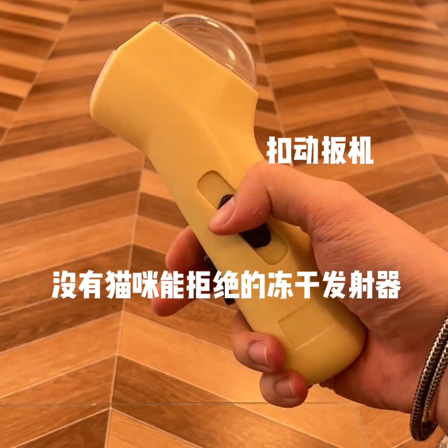 猫咪冻干粒发射器逗猫棒